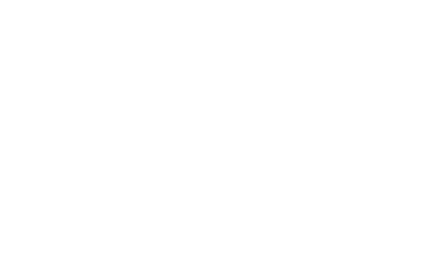 Elevated Group